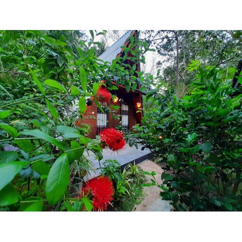 The Otunna Guest House Sigiriya