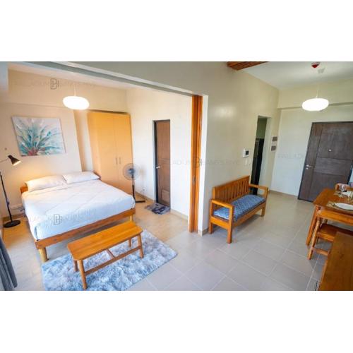 The Palladium Megaworld