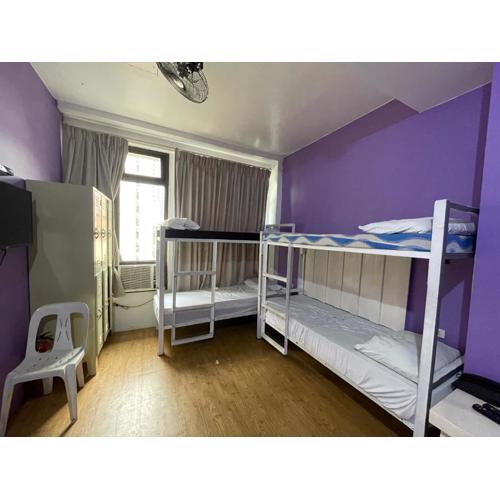 The Purple Tree Hostel