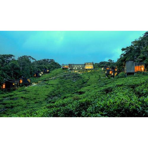 The Rainforest Ecolodge - Sinharaja with Shuttle Service from Car Park