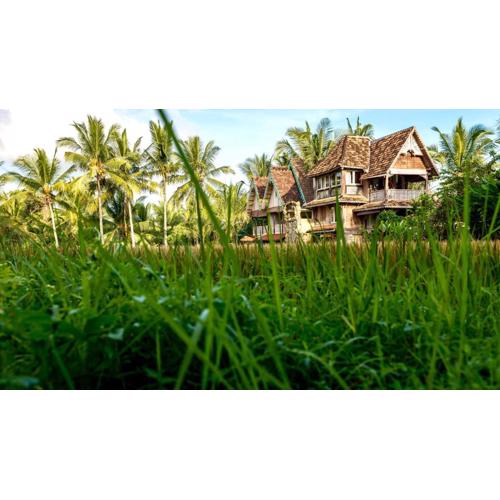 The Rice Joglo Eco-Stay