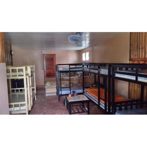 The Roaming Nest - Panglao