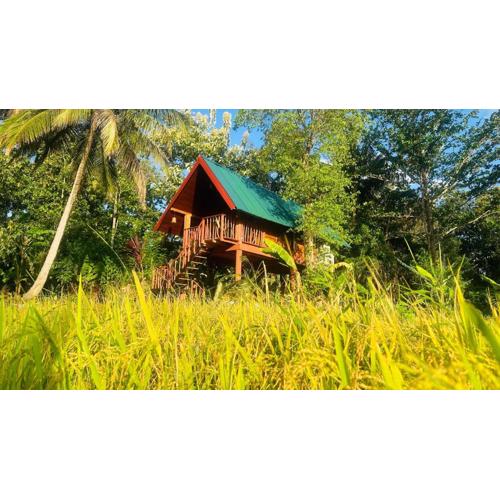 The Rock & Paddy Resort