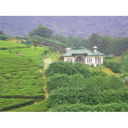 The Royal Terrace Holiday Bungalow