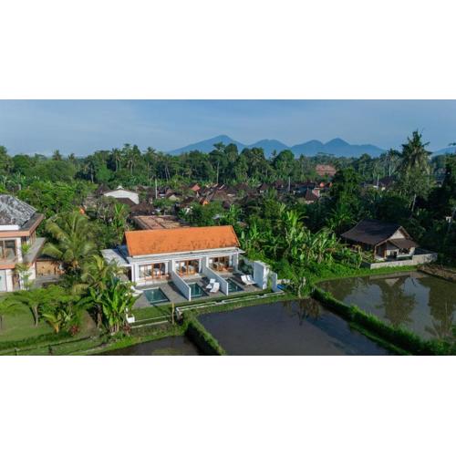 The Surana Villas Ubud with Rice Field View