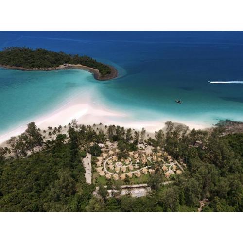 The Survival by Seudam