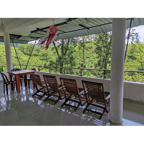 The Tea View Guest Ella