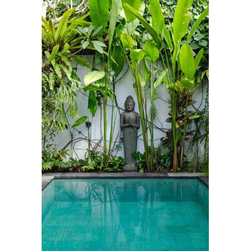 The Third Eye House, Salt water pool, Yoga room