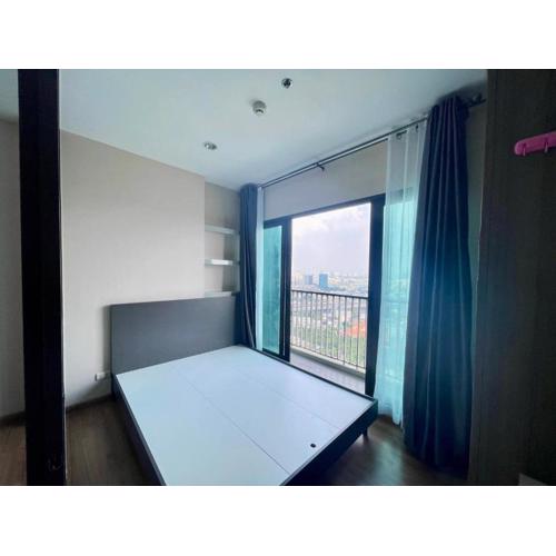 the Tree Rio Bang-Aor