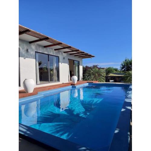 The Tropical Paradise