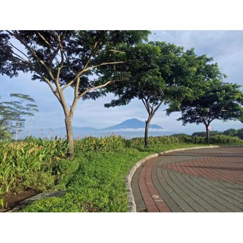 The Valley Guesthouse