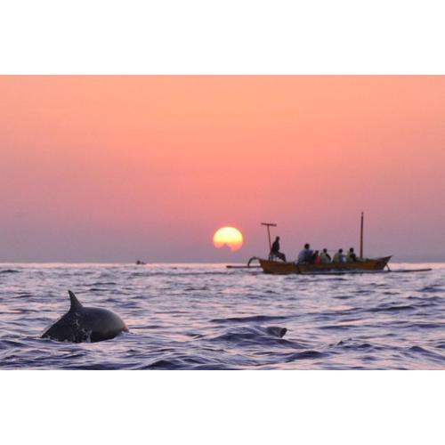 The Village Bed and Breakfast