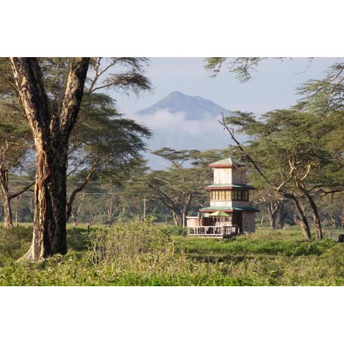 The Watch Tower 360 Safari Views & Stargazing