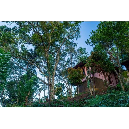 The Woods - Birding, Farming & Eco Living