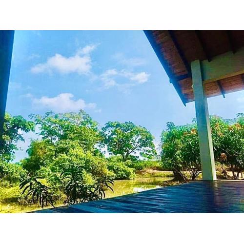 Thihawa Eco Huts Yala