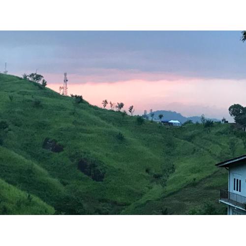 Tikiri Latha Hanthana