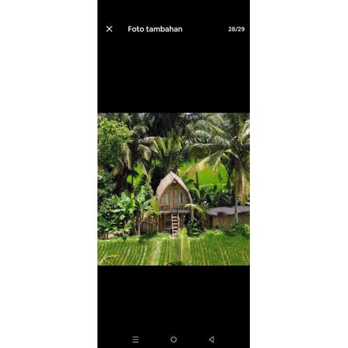 tiny ECO bamboo house