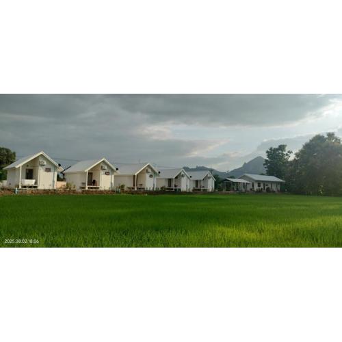 Tiny house homestay & cafe 5 units