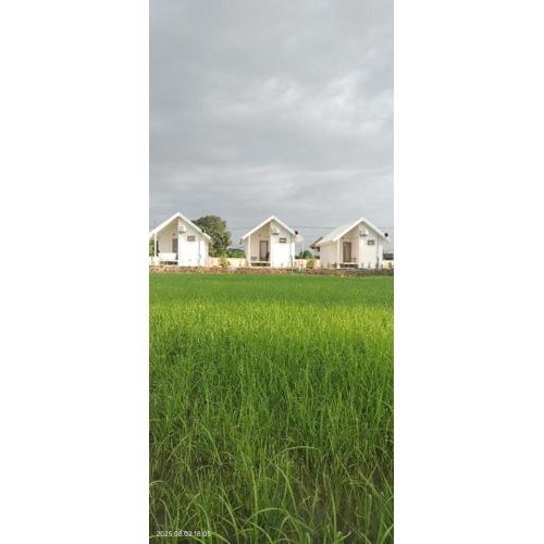 Tiny house homestay T2 Old