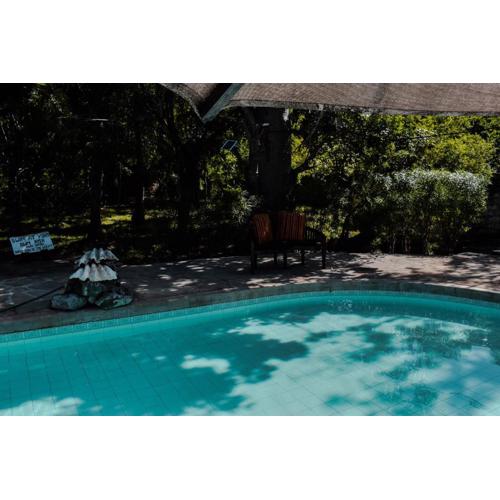 tiny hut house with pool