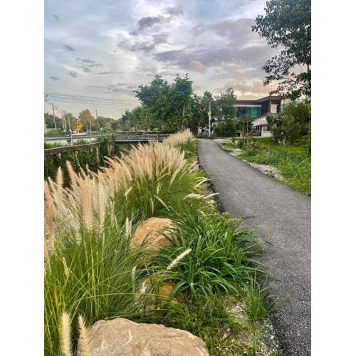 Tiny Loft Style House