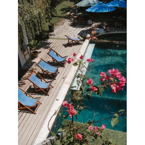 Tipsea Turtle Gili Air