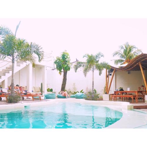 Tipsea Turtle Gili Trawangan