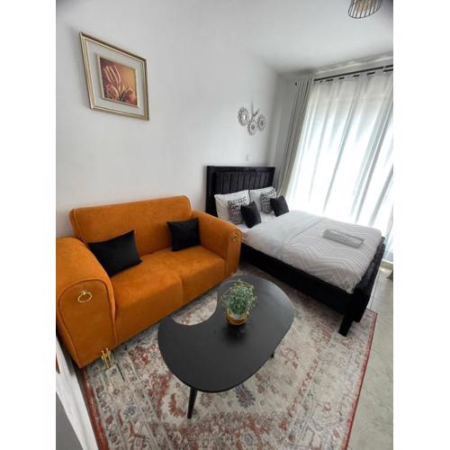 Top premium Studio in Roysambu