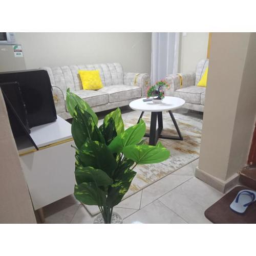 Top Supremacy Holiday Homes