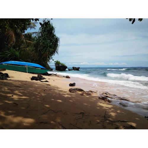 Tori's Backpacker's Paradise