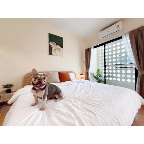 TownHouse near Central Ladprao with bathtub