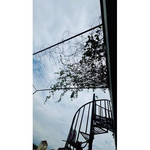 Transit stay seeduwa