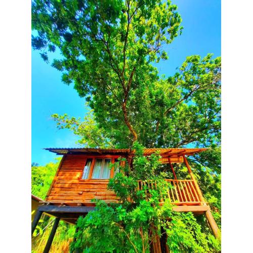 Tree House 4 Nature Lovers