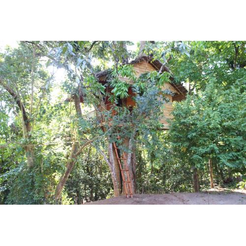 Tree House-Midigama