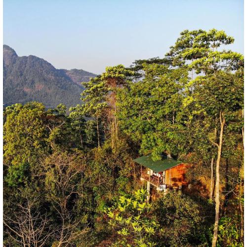 Tree Houses by Jungle River