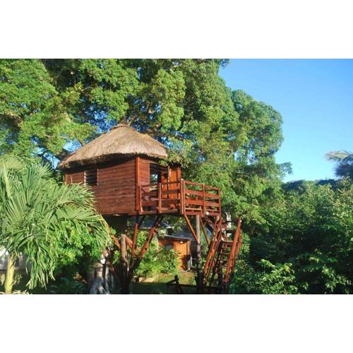 Tree Lodge Mauritius