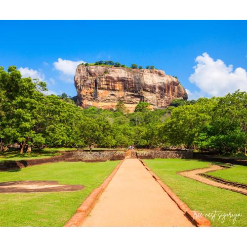 Tree Nest Sigiriya