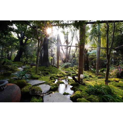 Treescape Resort Chiangmai