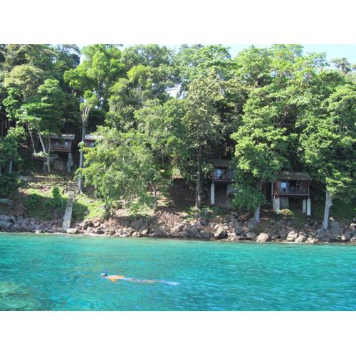 Treetop Guesthouse and Bungalows