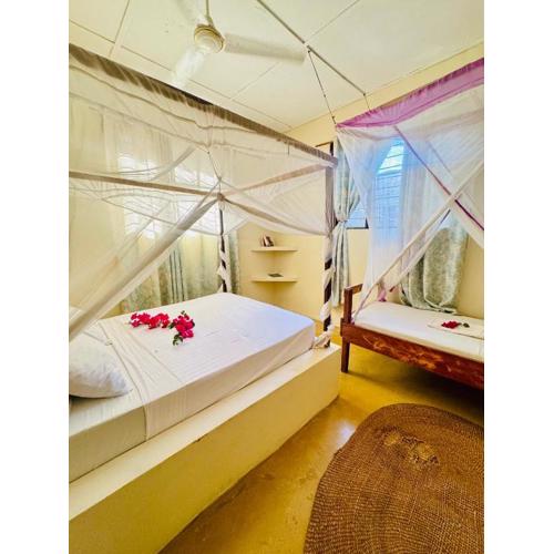 Triplet budget room in Paje