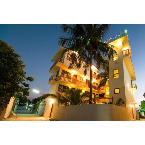 Tropic Tree Maldives