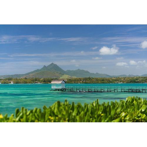 Tropical Attitude (Adults Only)