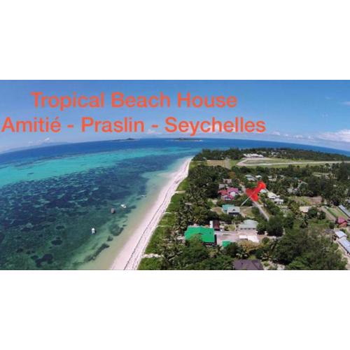 Tropical Beach House