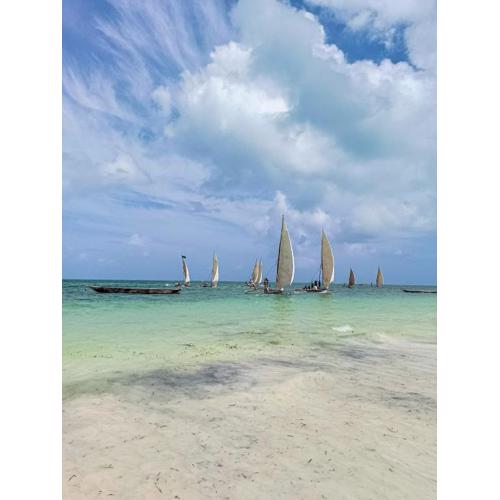 Tropical Beach Studios