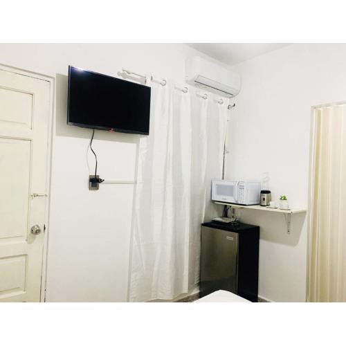 Tropical Estudio En El Centro De La Ciudad