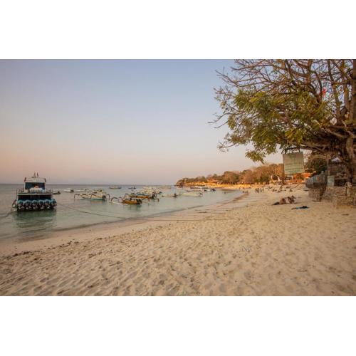 Tropical Garden by TANIS