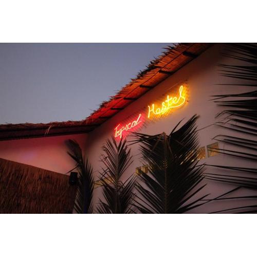 Tropical Hostel