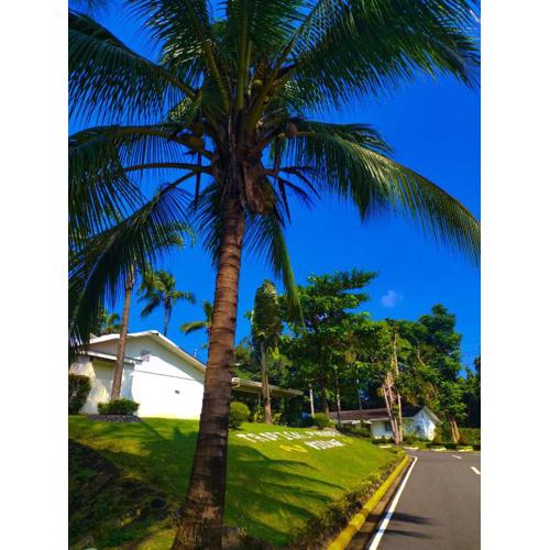 Tropical Paradise Retirement Village Inc