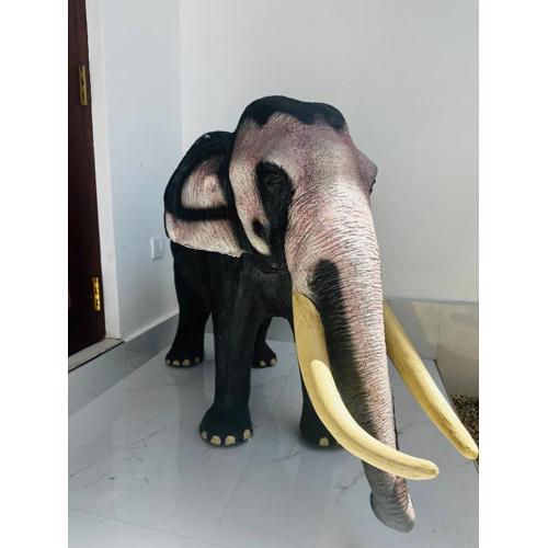 Tropical Pearl Villa