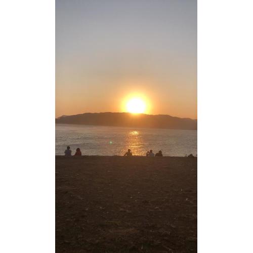 Tropical Sunday Bungalow - Surf And Stay